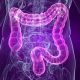 image of large intestine