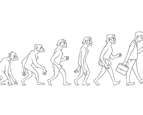 Evolution of back pain