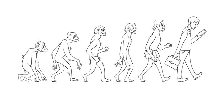 Evolution of back pain