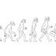 Evolution of back pain